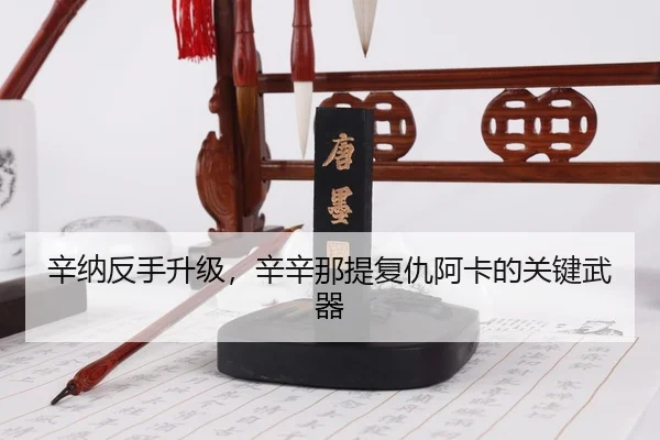 xin-na-fan-shou-sheng-ji-xin-xin-na-ti-fu-chou-a-ka-de-guan-jian-wu-qi-3-576.jpg