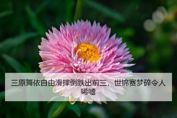 san-yuan-wu-yi-zi-you-hua-shuai-dao-die-chu-qian-san-shi-jin-sai-meng-sui-ling-ren-xi-xu-3-415.jpg