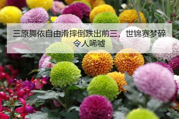 三原舞依自由滑摔倒跌出前三，世锦赛梦碎令人唏嘘