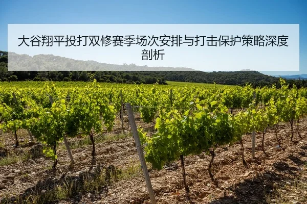 大谷翔平投打双修赛季场次安排与打击保护策略深度剖析